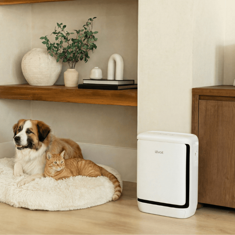 Levoit Vital Pet Pro Smart Air Purifier