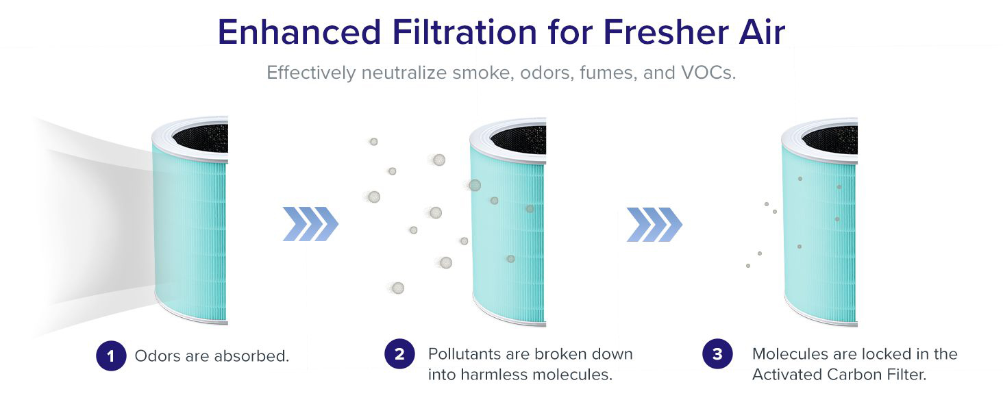 vesync filter
