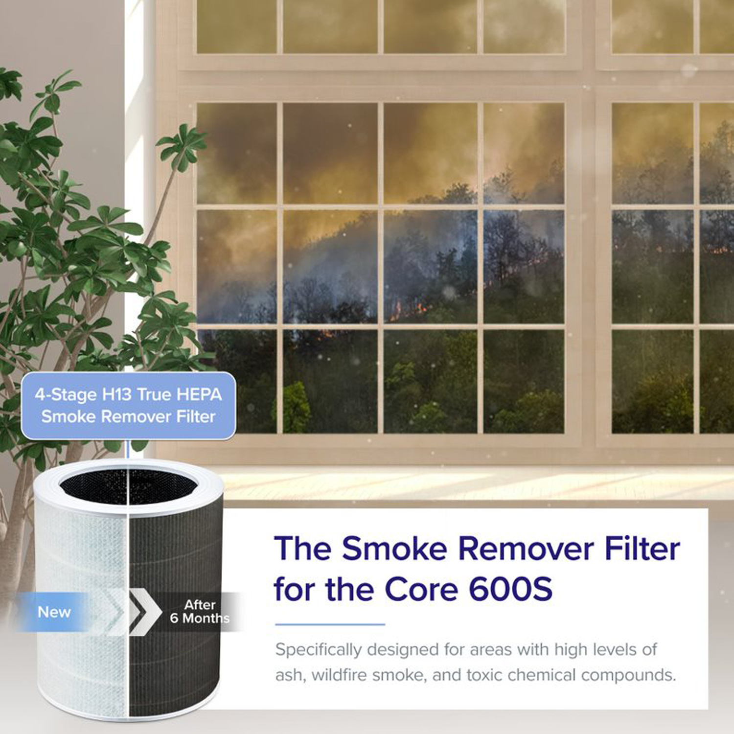 vesync filter