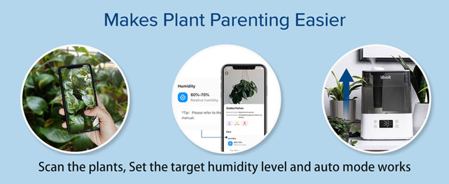 Makes Plant Parenting Easier