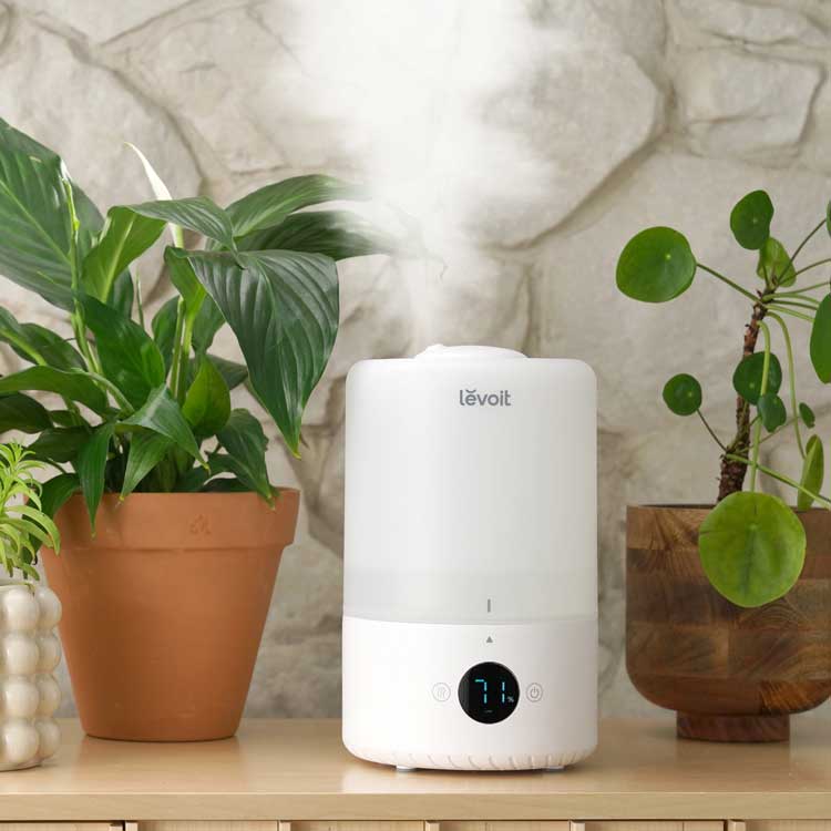 Levoit Dual 200S Humidifier＋Replacement Filter