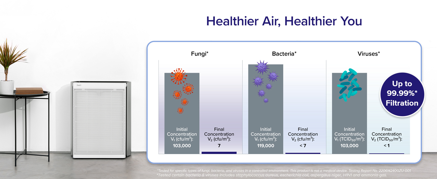 Levoit EverestAir-P Air Purifier Replacement Filter PC 2