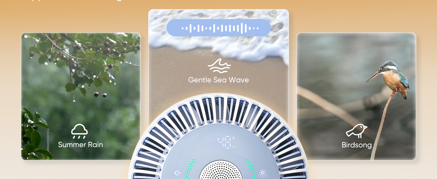 1.0_Sprout Air Purifier_US_White_Module6A.jpg