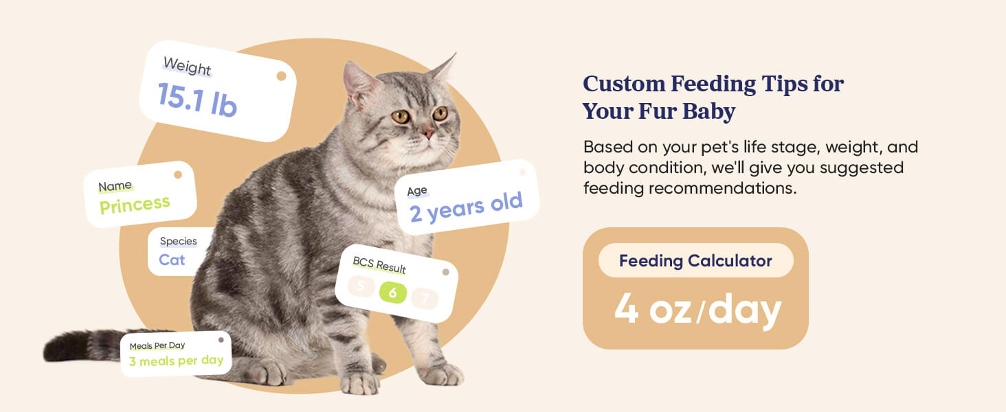 Pawsync smart pet feeder PC -5