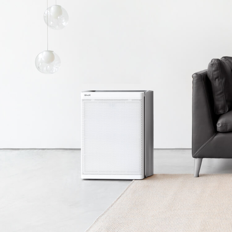 Levoit EverestAir-P Smart Purifier+Extra Filter