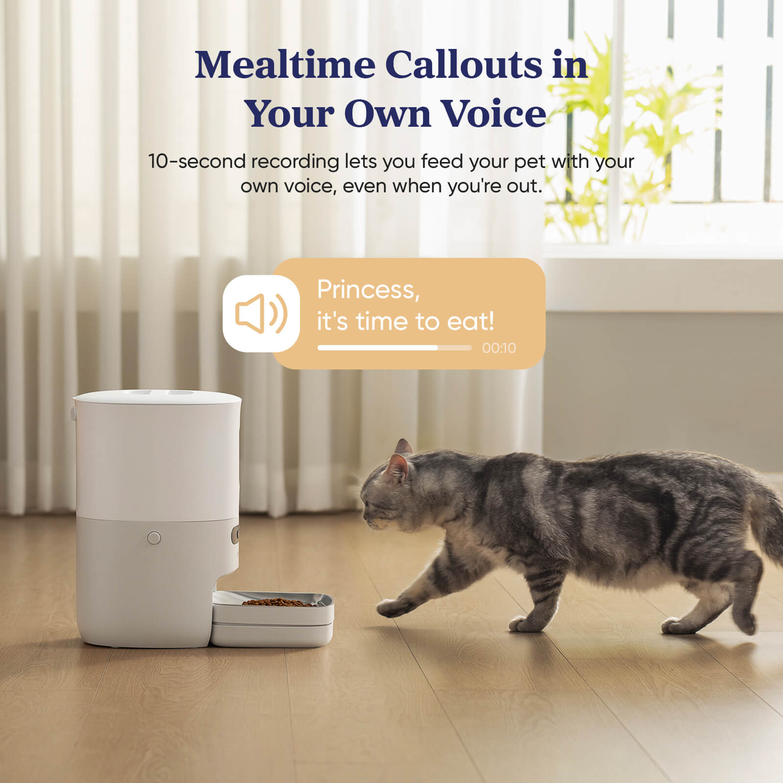 Pawsync Smart Pet Feeder